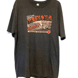 Vacation Graphic T Shirt Adults Large L Gray "Visit Sunny Arizona" Tuscon, AZ